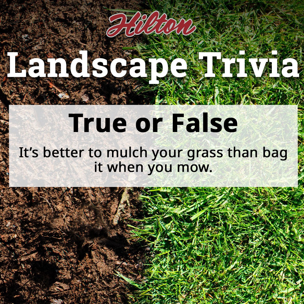 🤔 Tuesday Trivia 🤔 True or... - Hilton Landscape Supply | Facebook