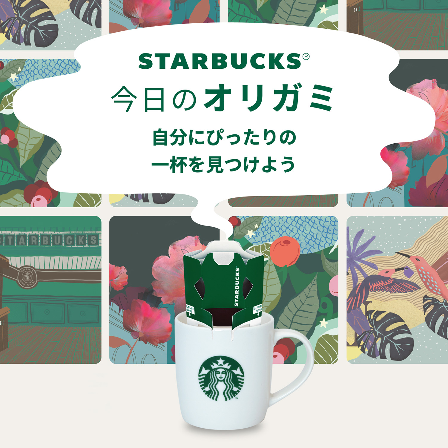 数量限定・一部の量販店で販売中💚／ 『スターバックス® プレミアム