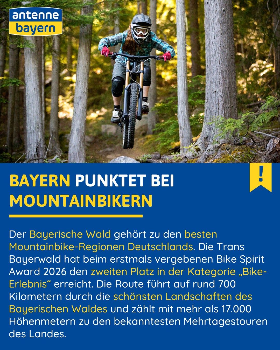 pedale und poeten Boerte Peloton Bike & Peloton Bike+ kompatible Zehenkäfig-Adapter – wandeln Sie Delta-Pedale auf Indoor-Heimtrainer in Zehenkäfige Riemen um, Fahren Sie mit normalen Schuhen Sport & Freizeit Chiba Fahrradhandschuhe CHIBA Gel Kinderöle Color:Red Mirror