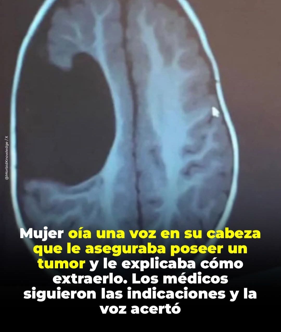 Chepeto y Dama Investigadores paranormal