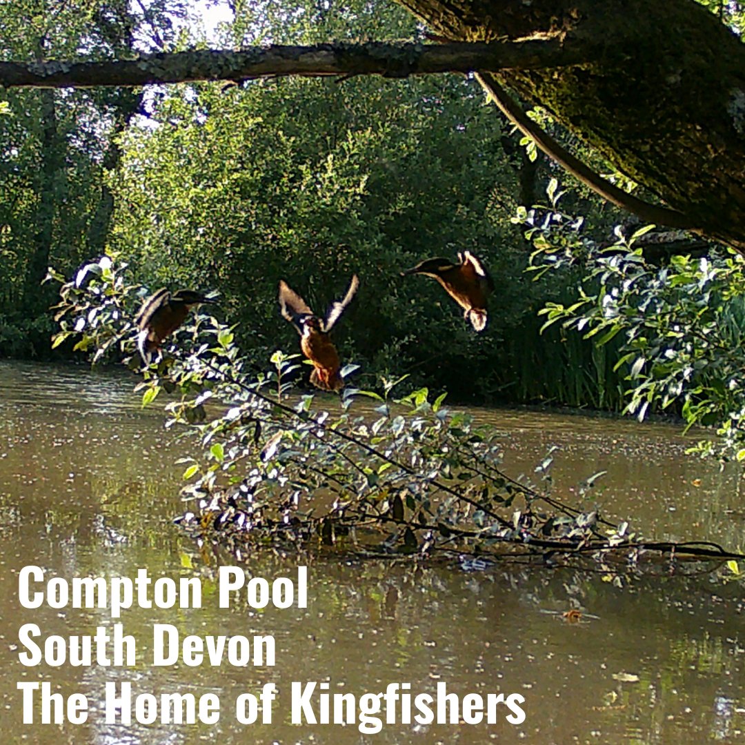 Compton Pool Farm | Paignton