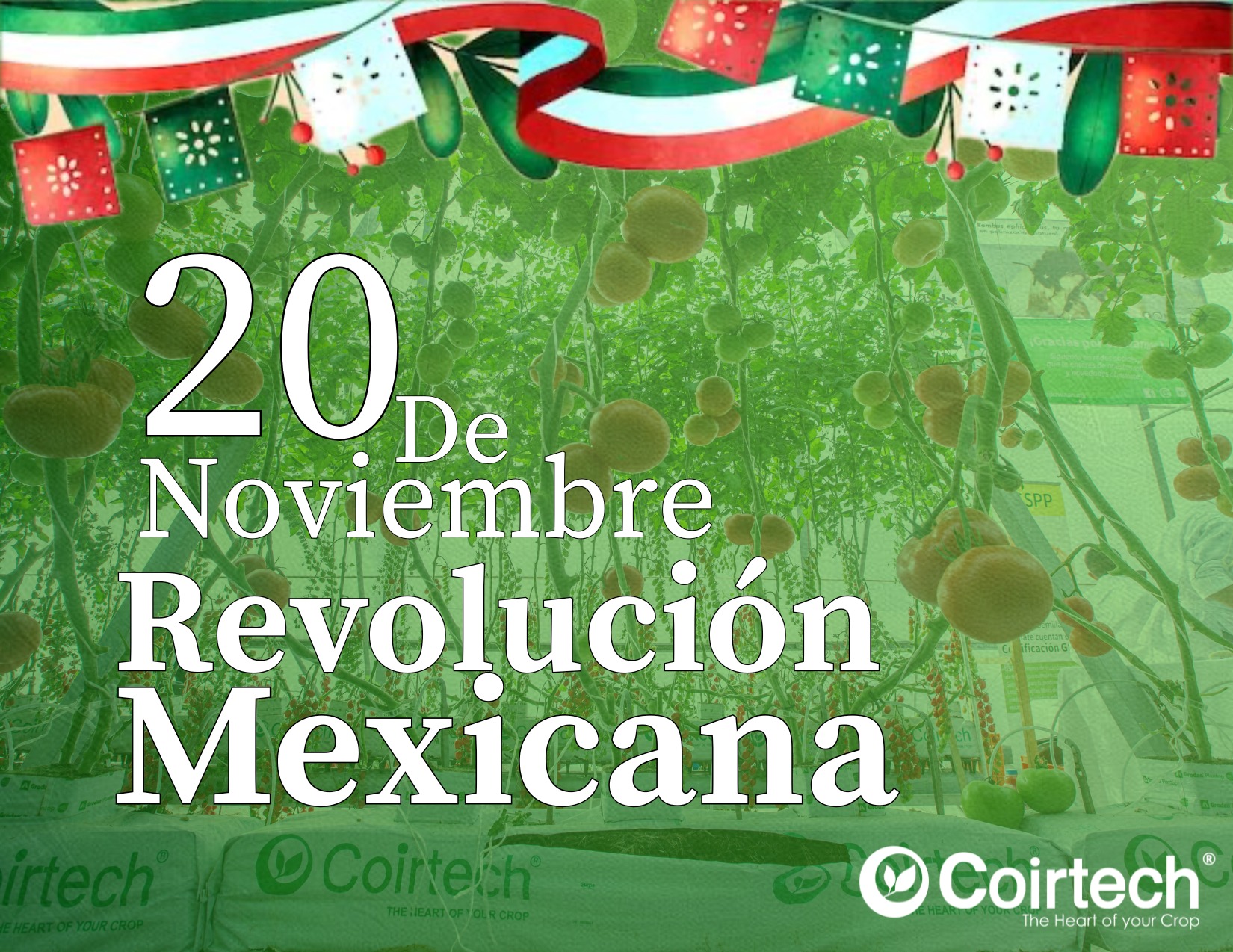 Coirtech - Coirtech added a new photo.