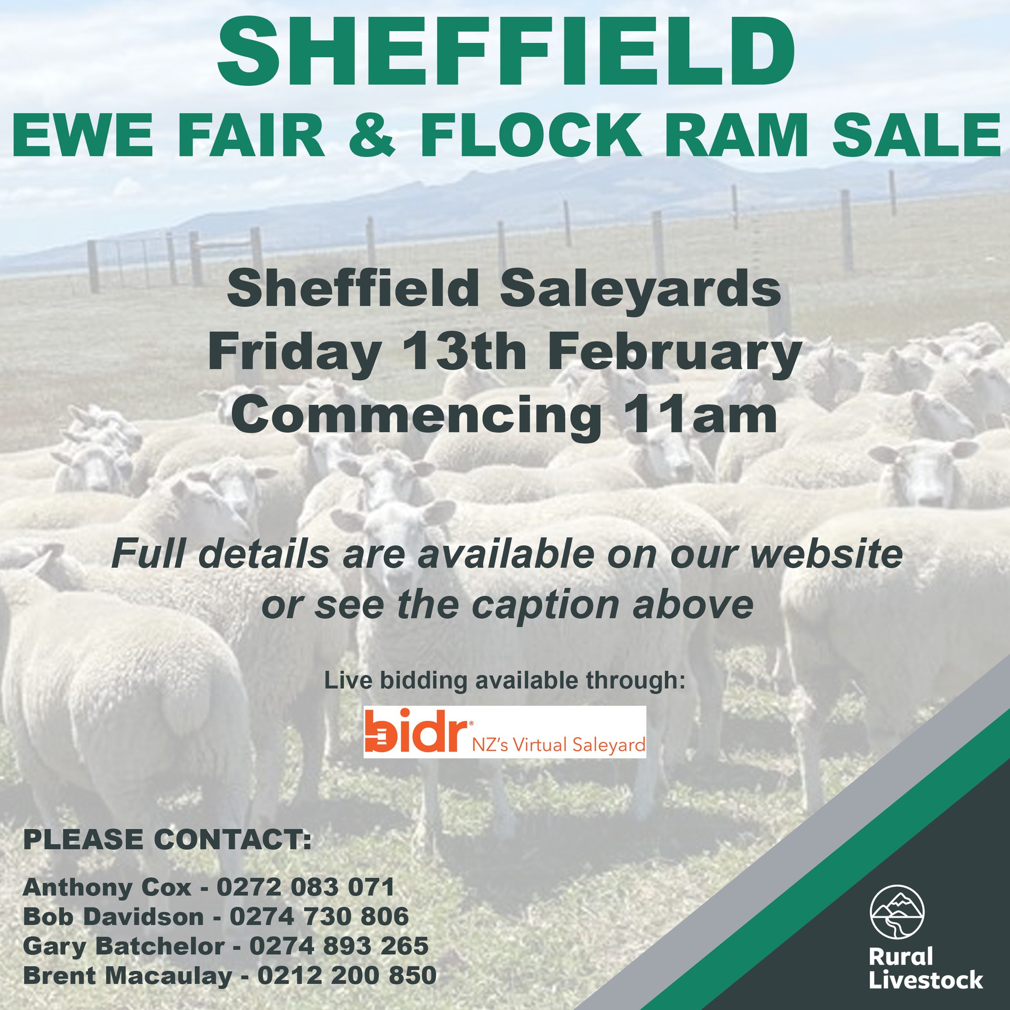 Rural - SHEFFIELD EWE FAIR & FLOCK RAM SALE Friday 13th February ...