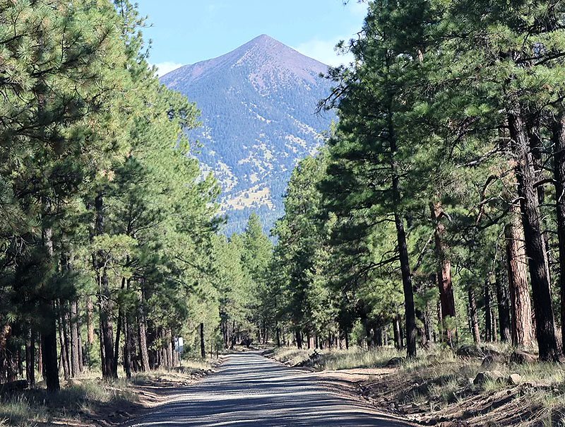 Hiking at Leroux Springs near Flagstaff