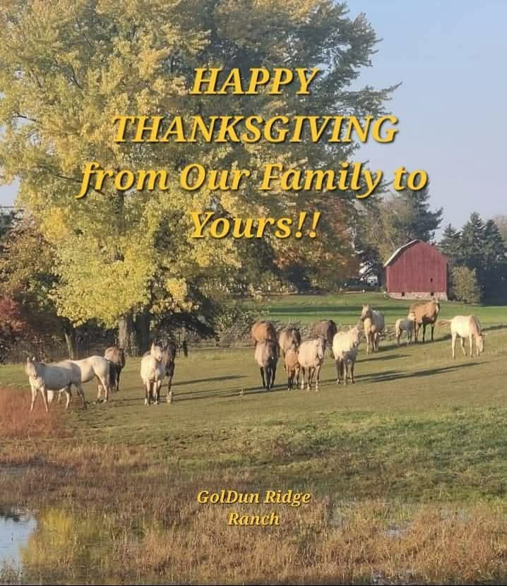 GolDun... - GolDun Ridge Ranch - Foundation Quarter Horses