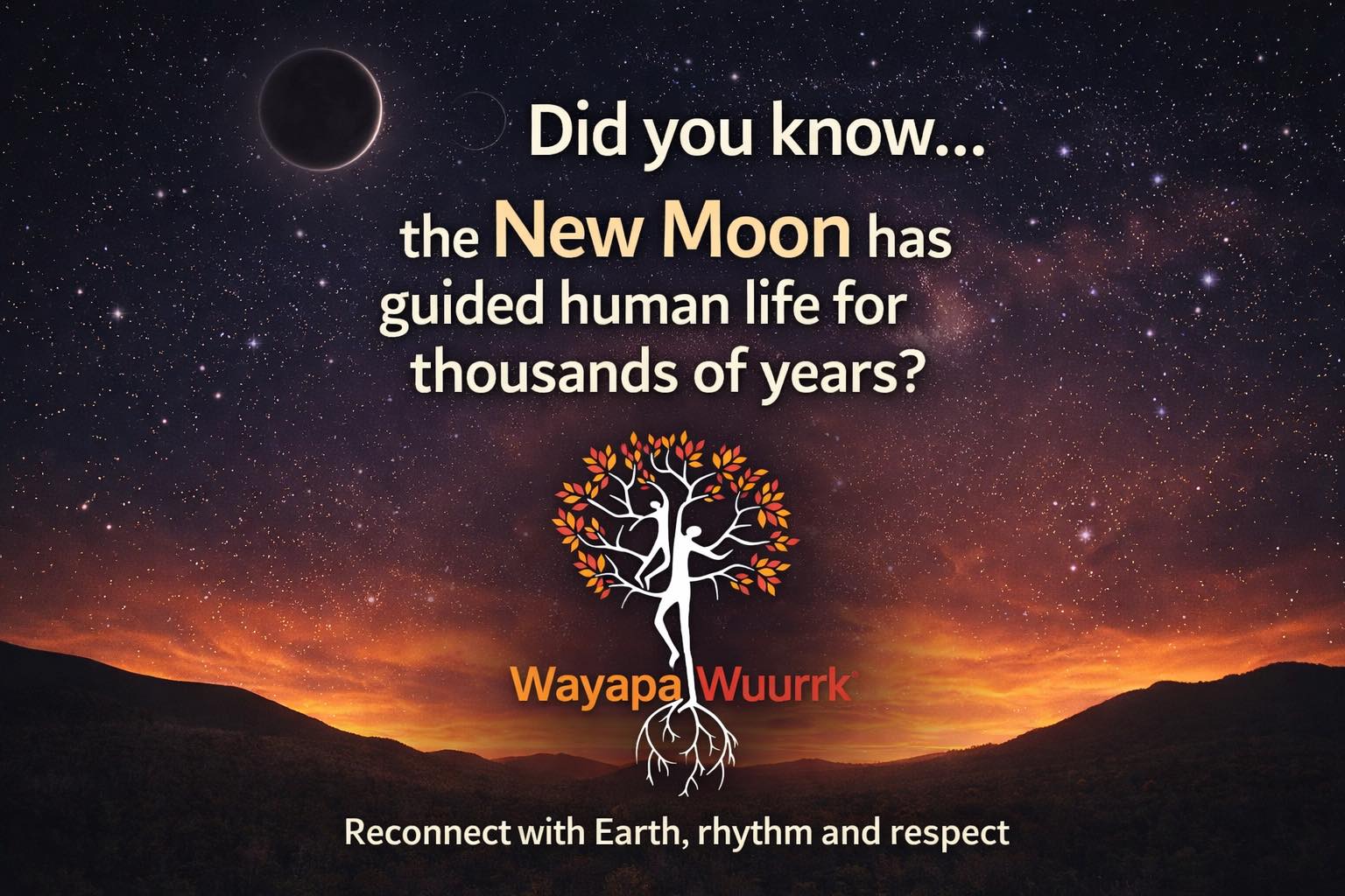 Wayapa Wuurrk