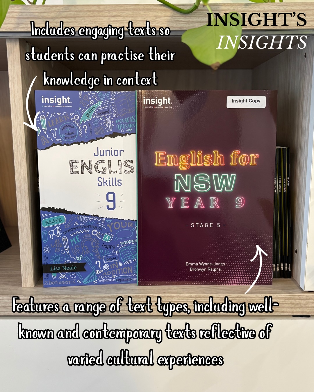 Insight - Just in time for the holidays... Insight's latest title for ...