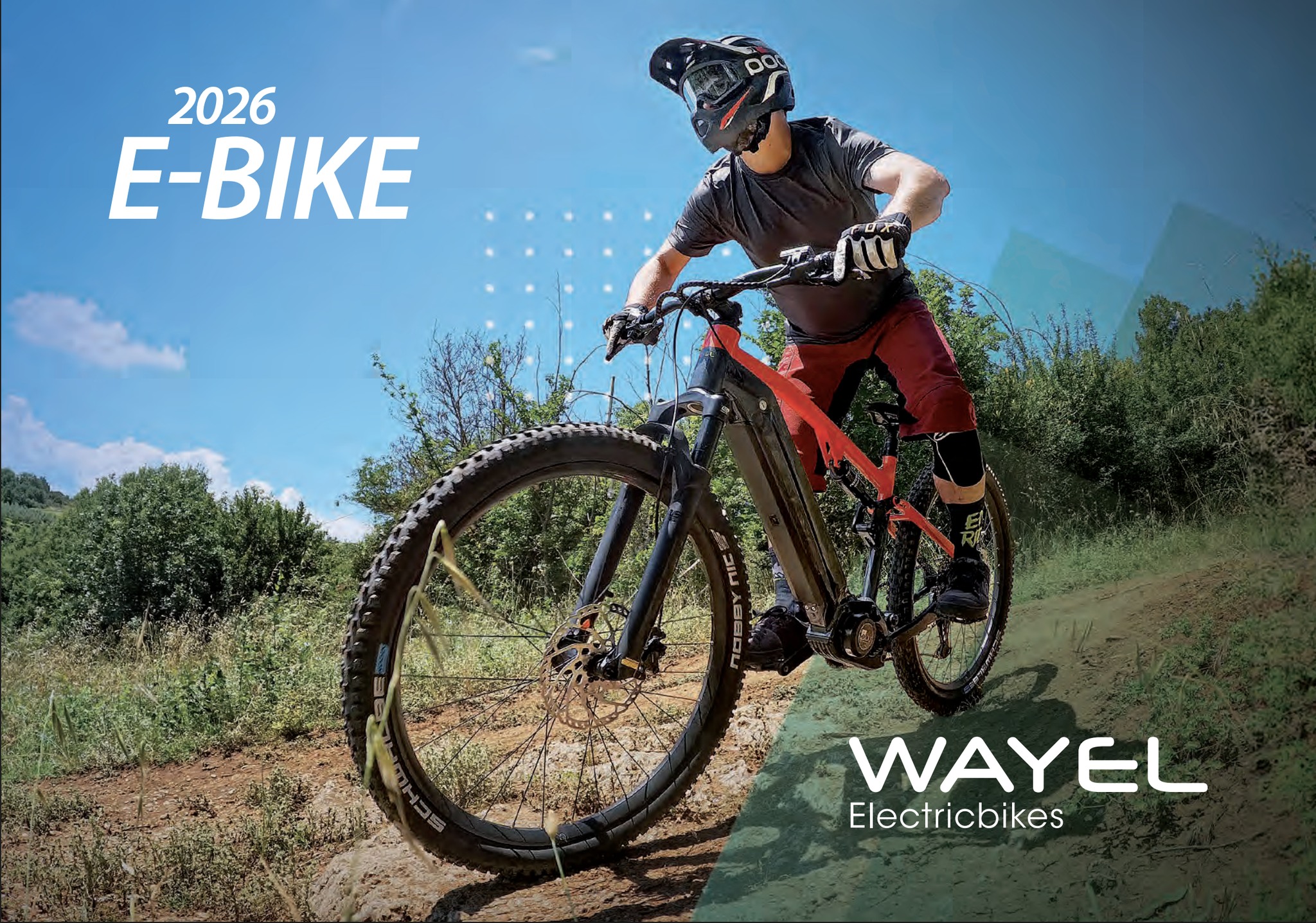 Wayel - 🌍 Wayel presenta il nuovo catalogo e-bike 2026! 🚴‍♂️⚡ È online ...