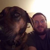 German Shepherd Lovers | Is tail curl normal for 7 week gsd, it isn’t ...
