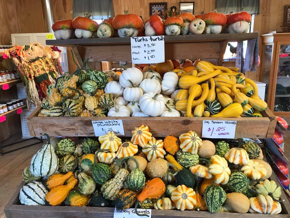 Hahn Farm | Pleasant Valley NY