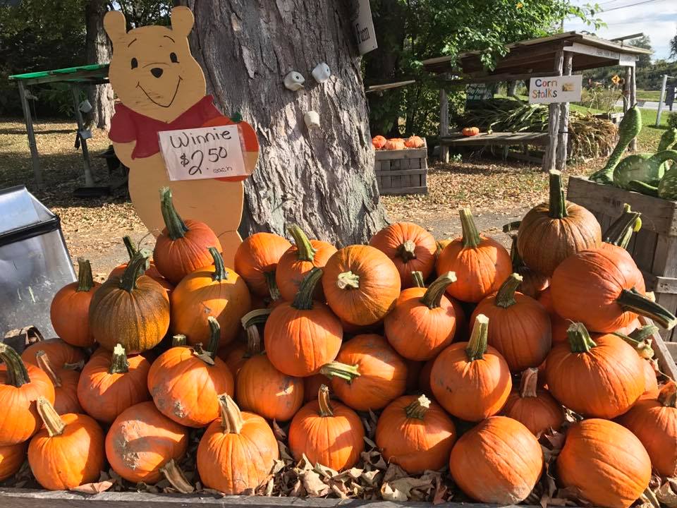 Hahn Farm | Pleasant Valley NY