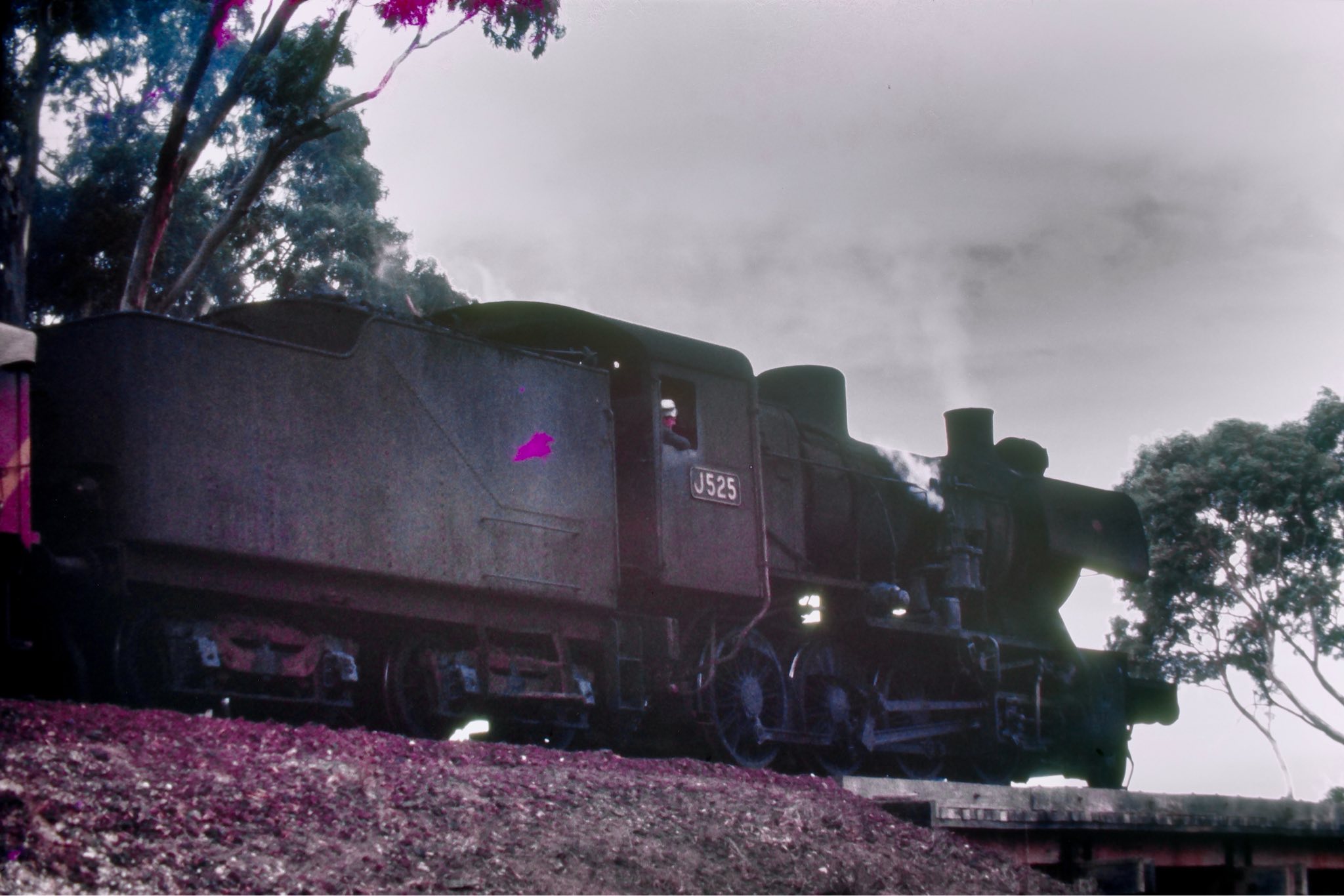 Redhen334 - VR J class J525 heading down the Carpolac line with a goods ...