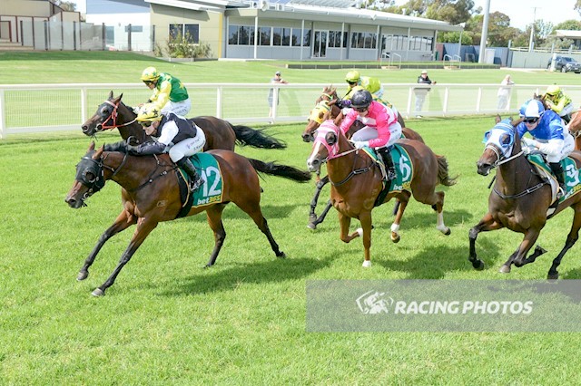 Young Sam Kennedy has been based in... - Echuca Racing Club | Facebook