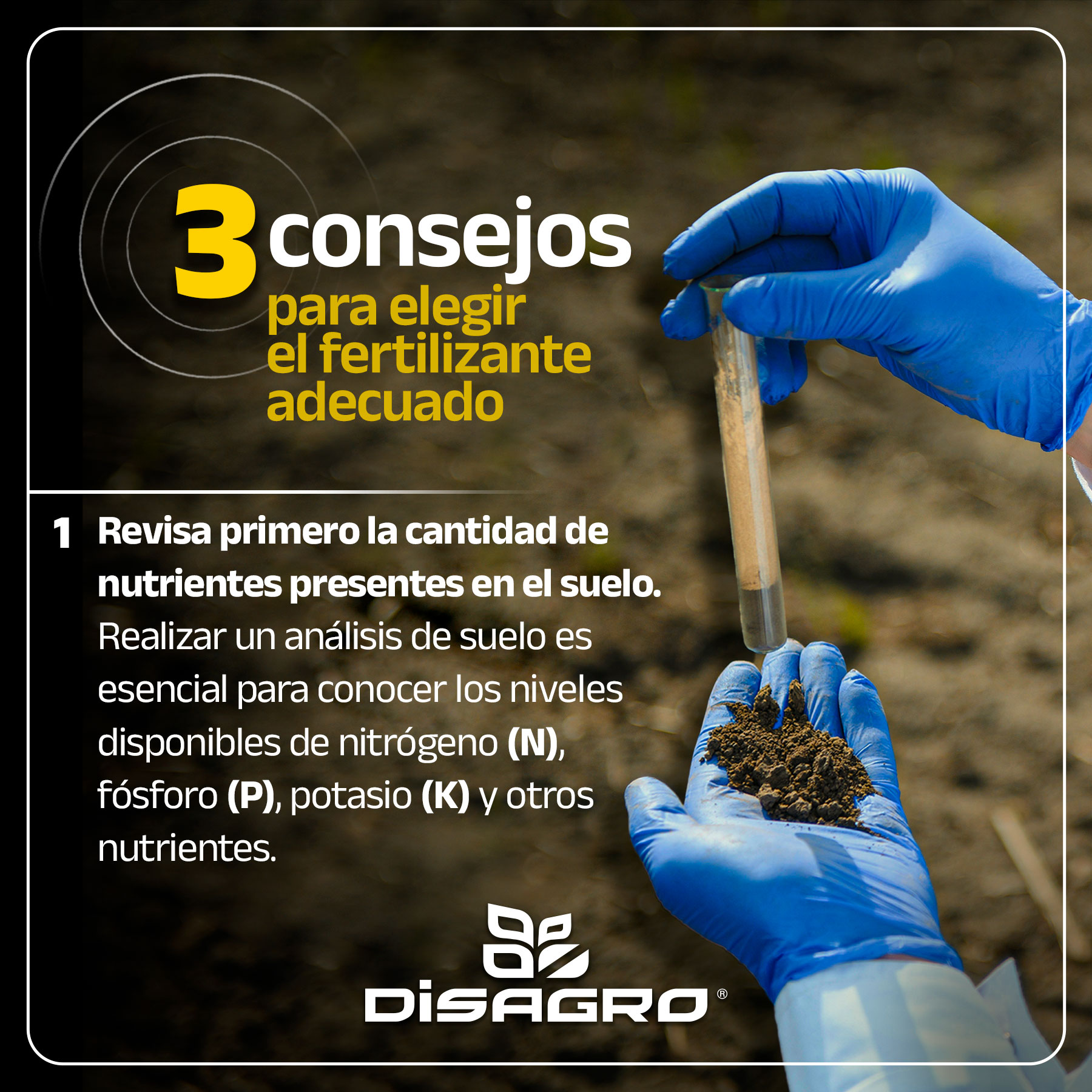 DISAGRO - DISAGRO added a new photo.
