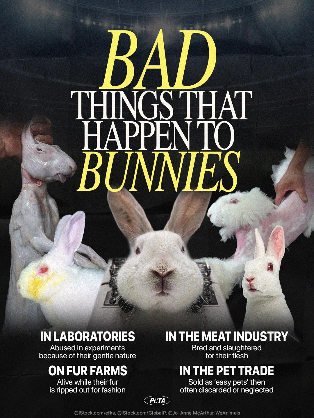 PETA (People for the Ethical Treatment of Animals) - Chad Ochocinco ...