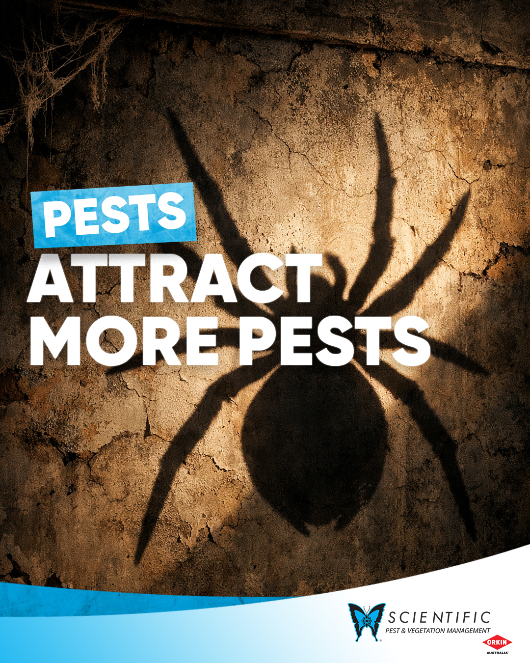 Scientific... - Scientific Pest Management Sunshine Coast