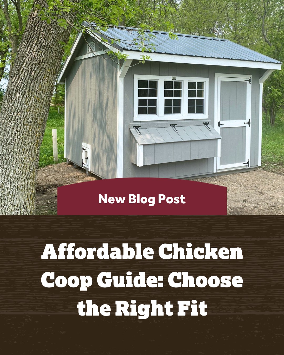 View of Our Affordable Chicken Coop... - Dakota Storage Buildings | Facebook