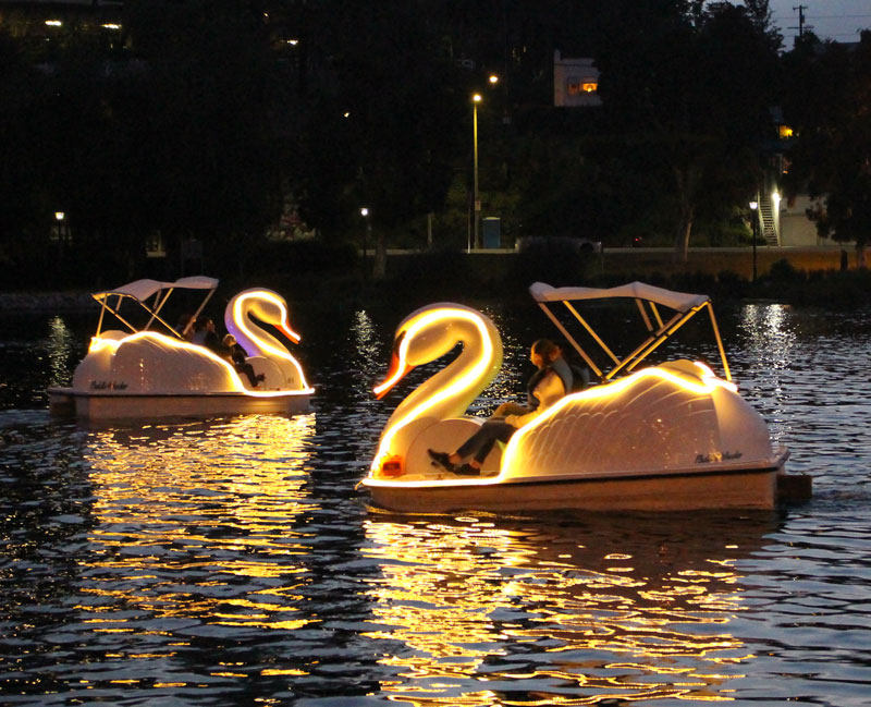 Wheel Fun Rentals - POV: Swan Boats at night 🦢 Our illuminated night ...