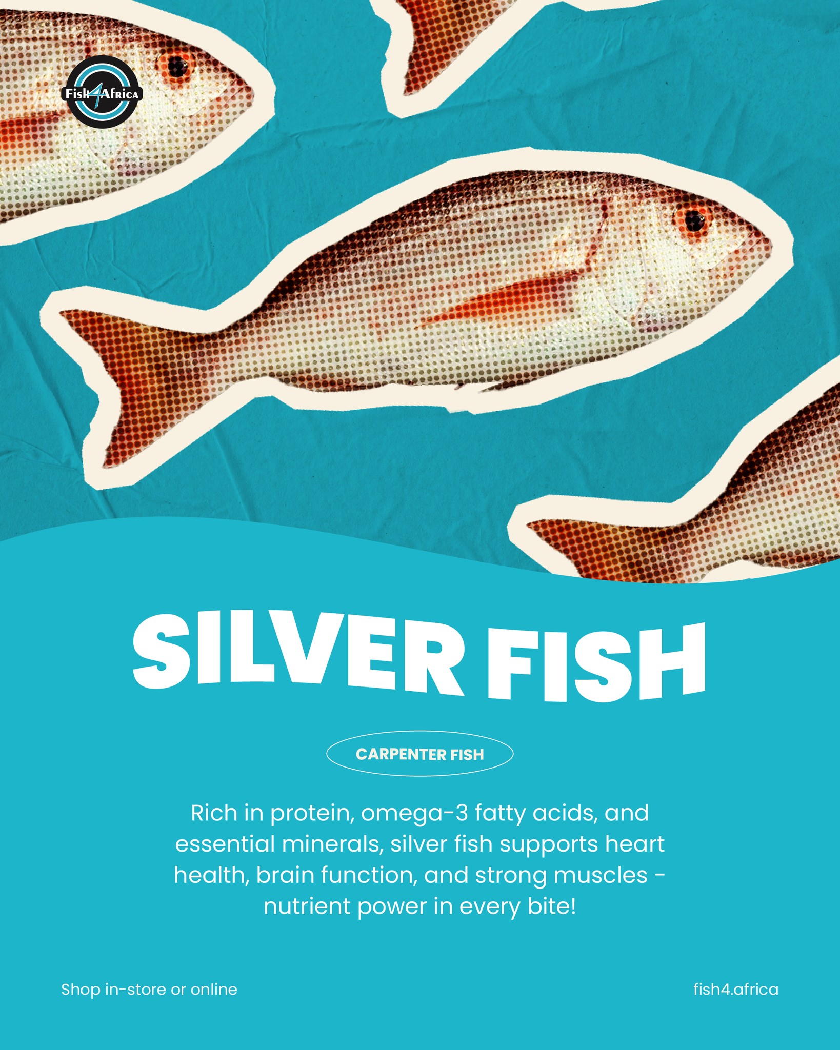Fish4Africa - Tiny fish, huge benefits! 🐟 Silver fish (aka... | Facebook