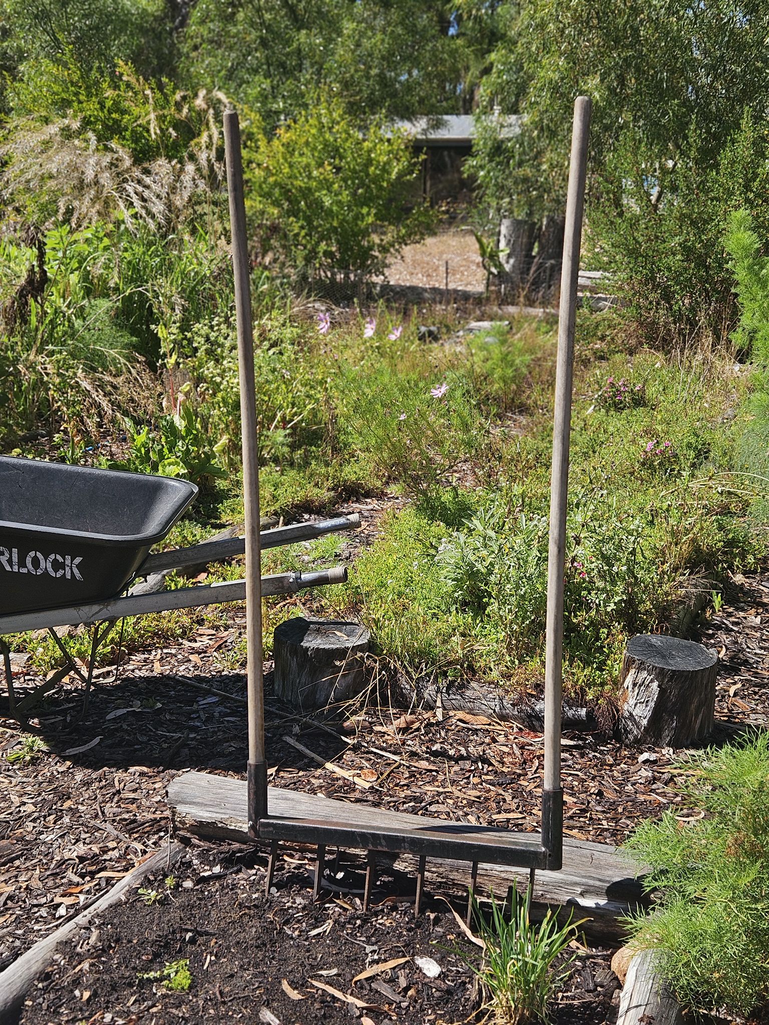 Powderbark Permaculture