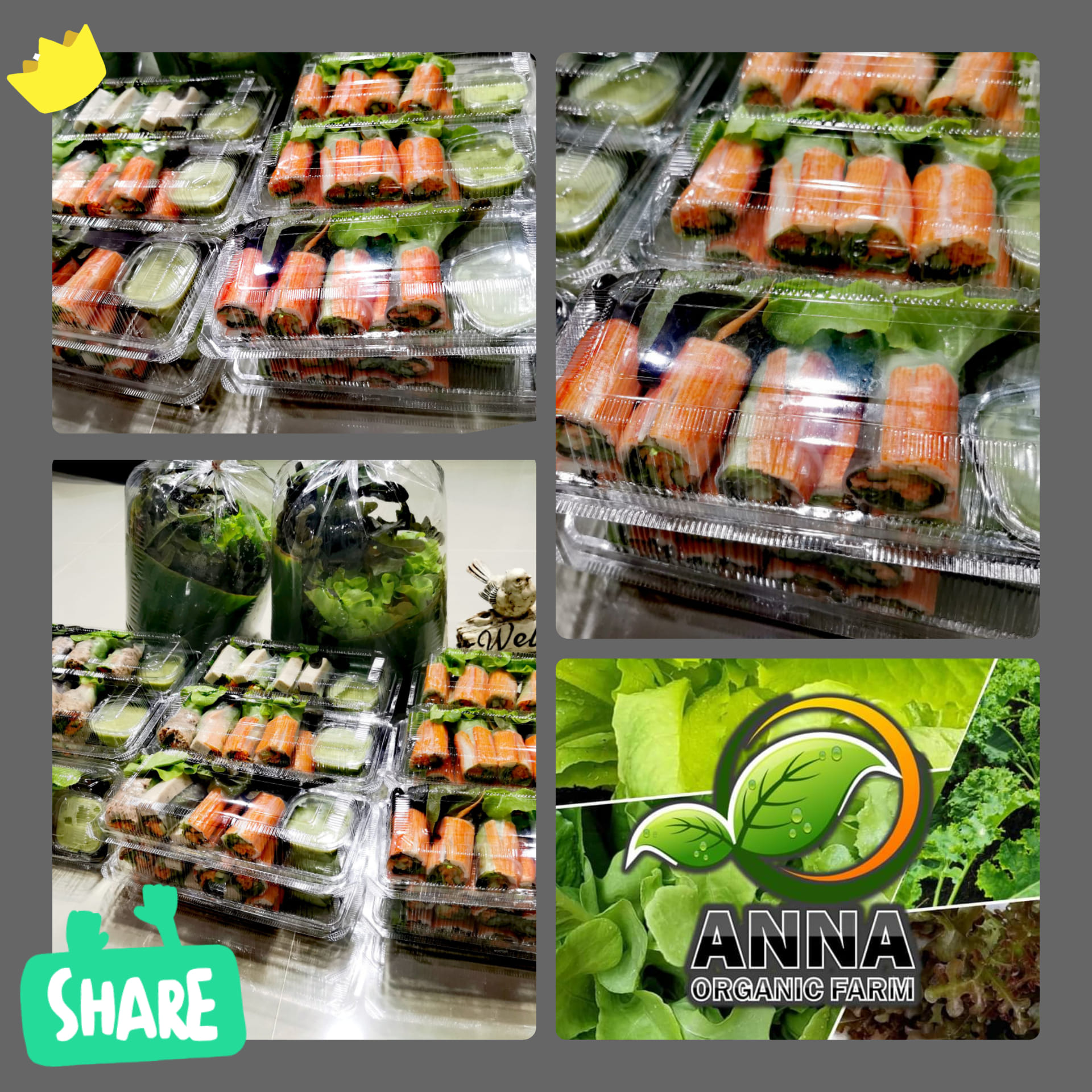 ANNA Organic Farm | Bangkok