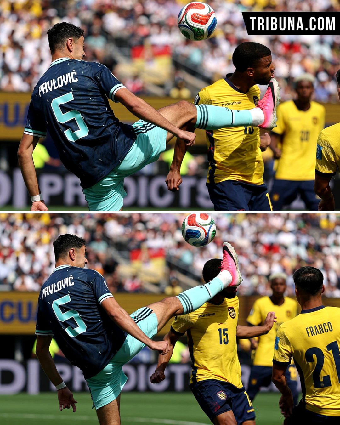 Ecuador were furious after Germany's opening goal, as it came