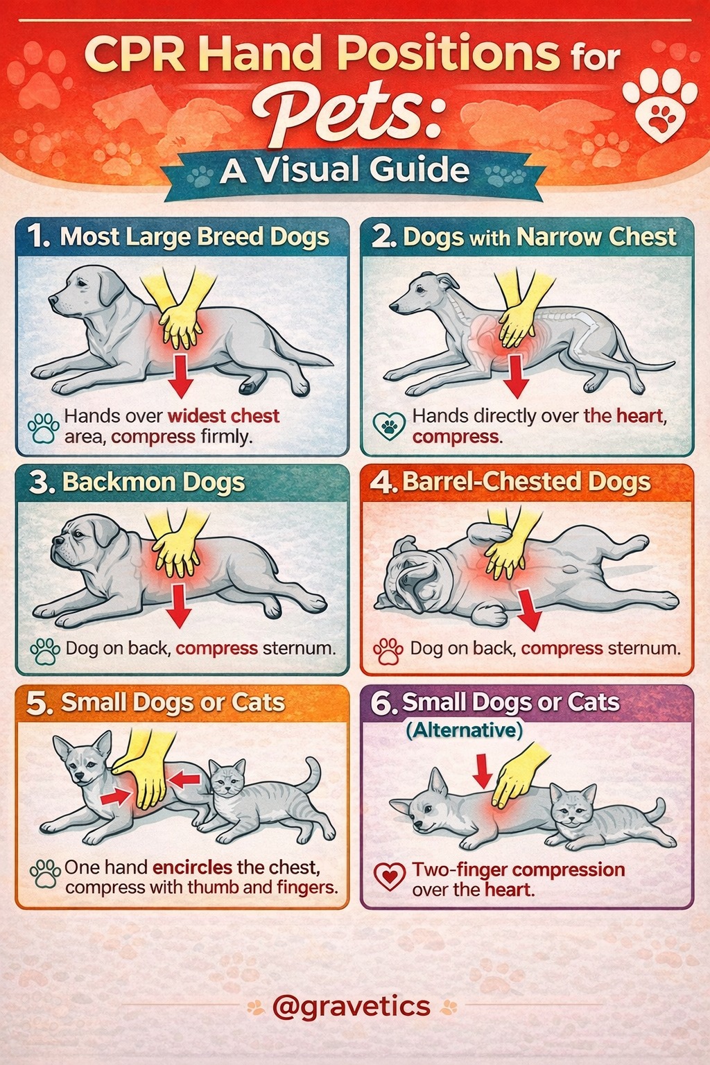 Gravetics - CPR hand positions for pets #pet #petcare 🐶🐱 | Facebook