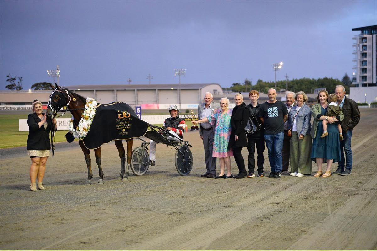 Pinebrook - New Years Eve racing tonight at Alexandra Park to round out ...