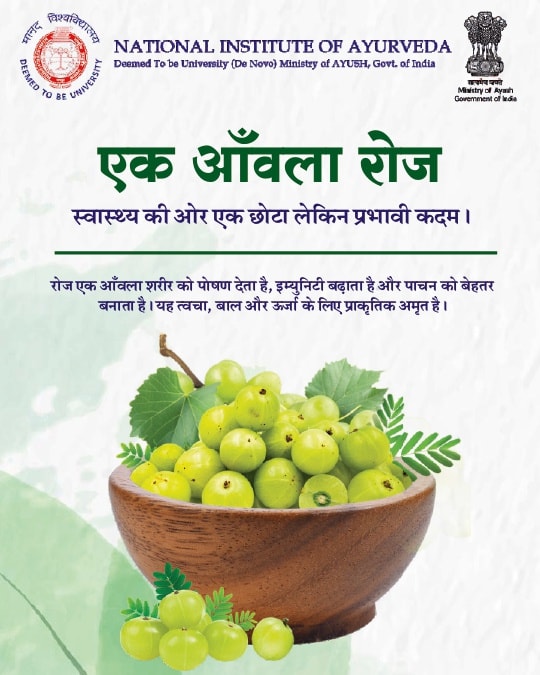 One Amla a day — a small habit with powerful health benefits 🌿 Nature's superfruit for immunity, digestion, glowing skin, strong hair, and daily vitality ✨ Ministry of Ayush, Government of India #