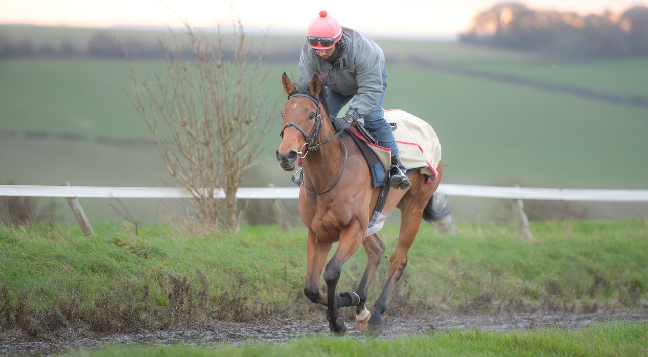 Whatcombe Racing - Paul and Oliver Cole - Mercenary Rose (by Sepoy ex ...