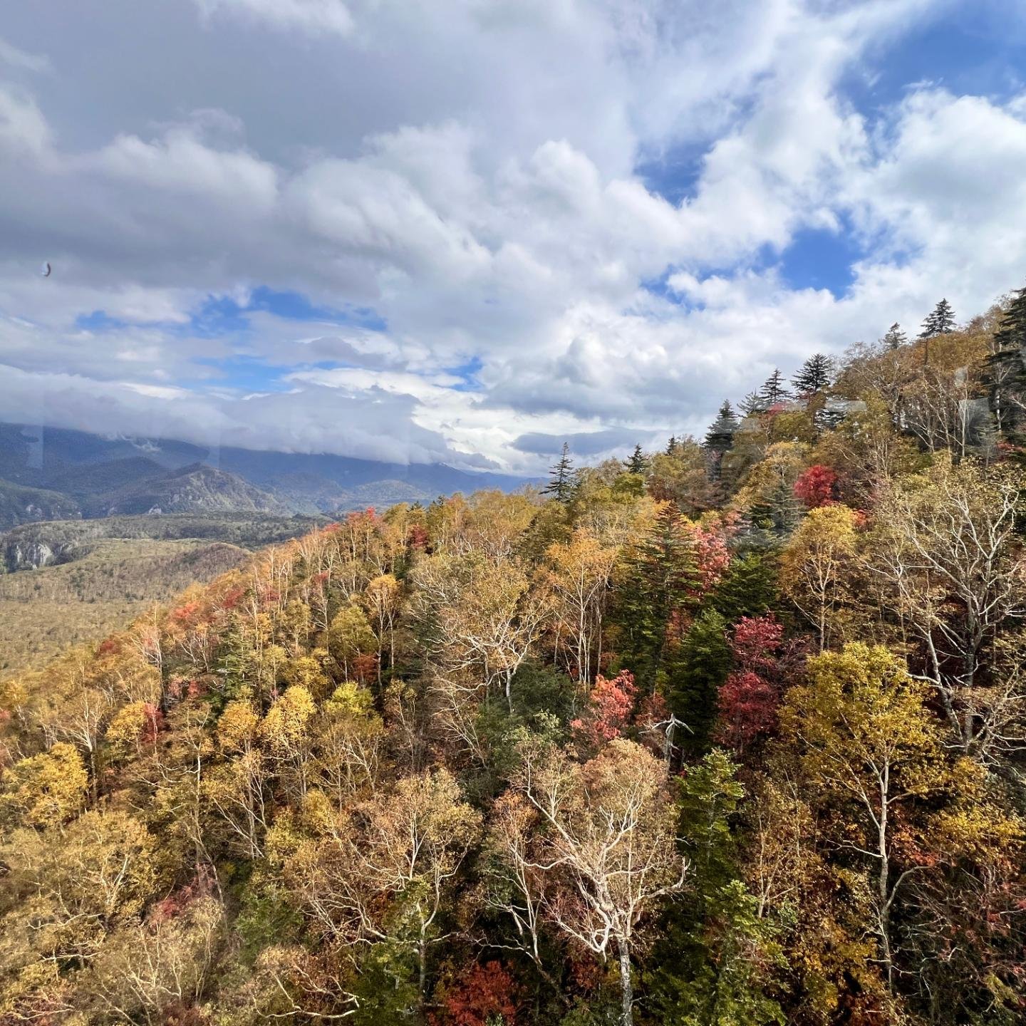 2026.9.27 車窓から見られる紅葉が色濃くなってきました🍁 まだの方は