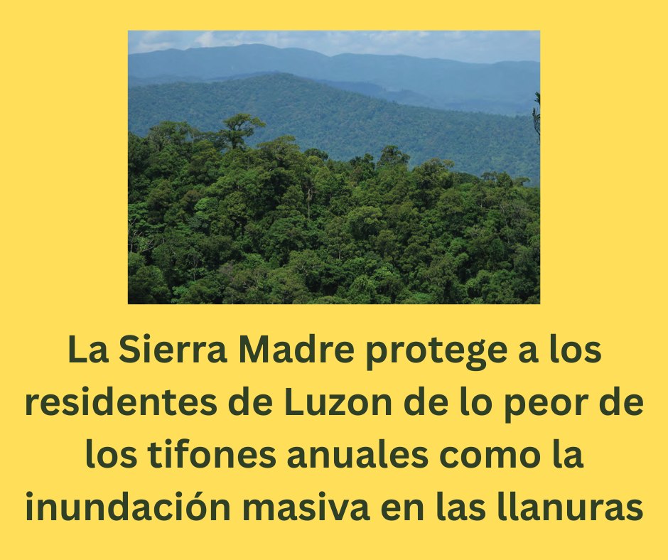 Philippine - The Sierra Madre protects Luzon residents from the worst ...