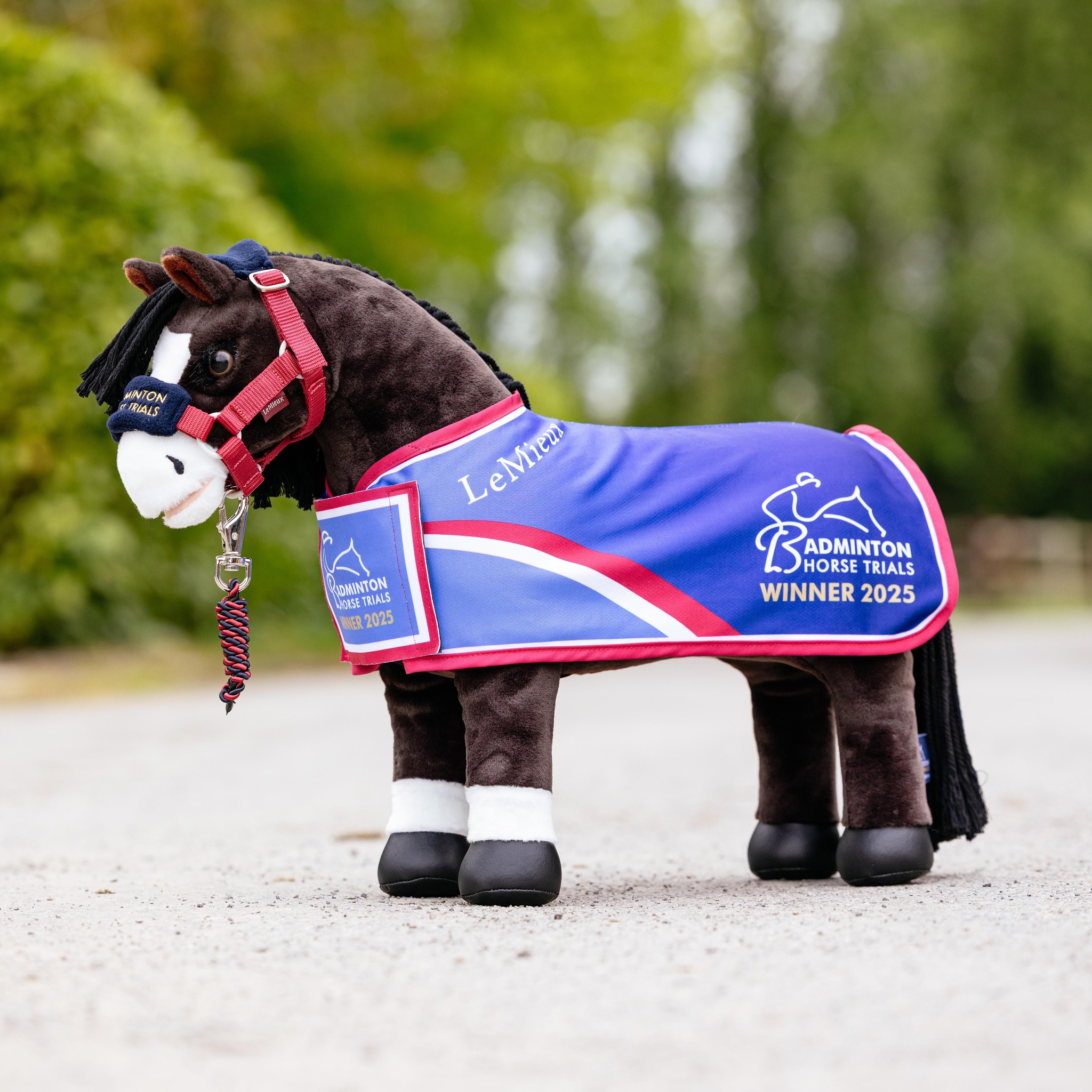 From hobby horses to headcollars and saddlepads to socks 