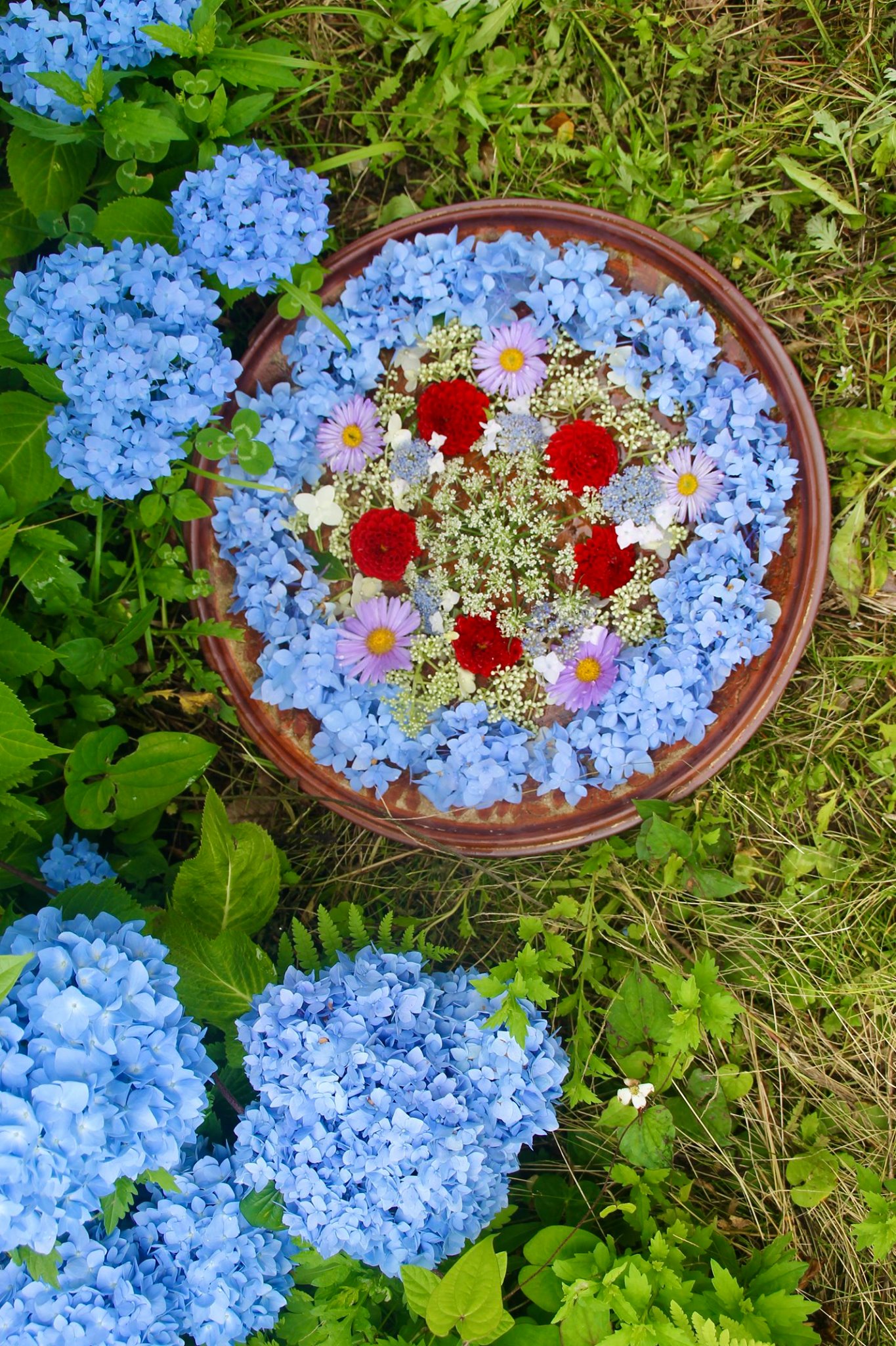 Rainy season garden.... - Haruya Guest House （はるやゲストハウス）