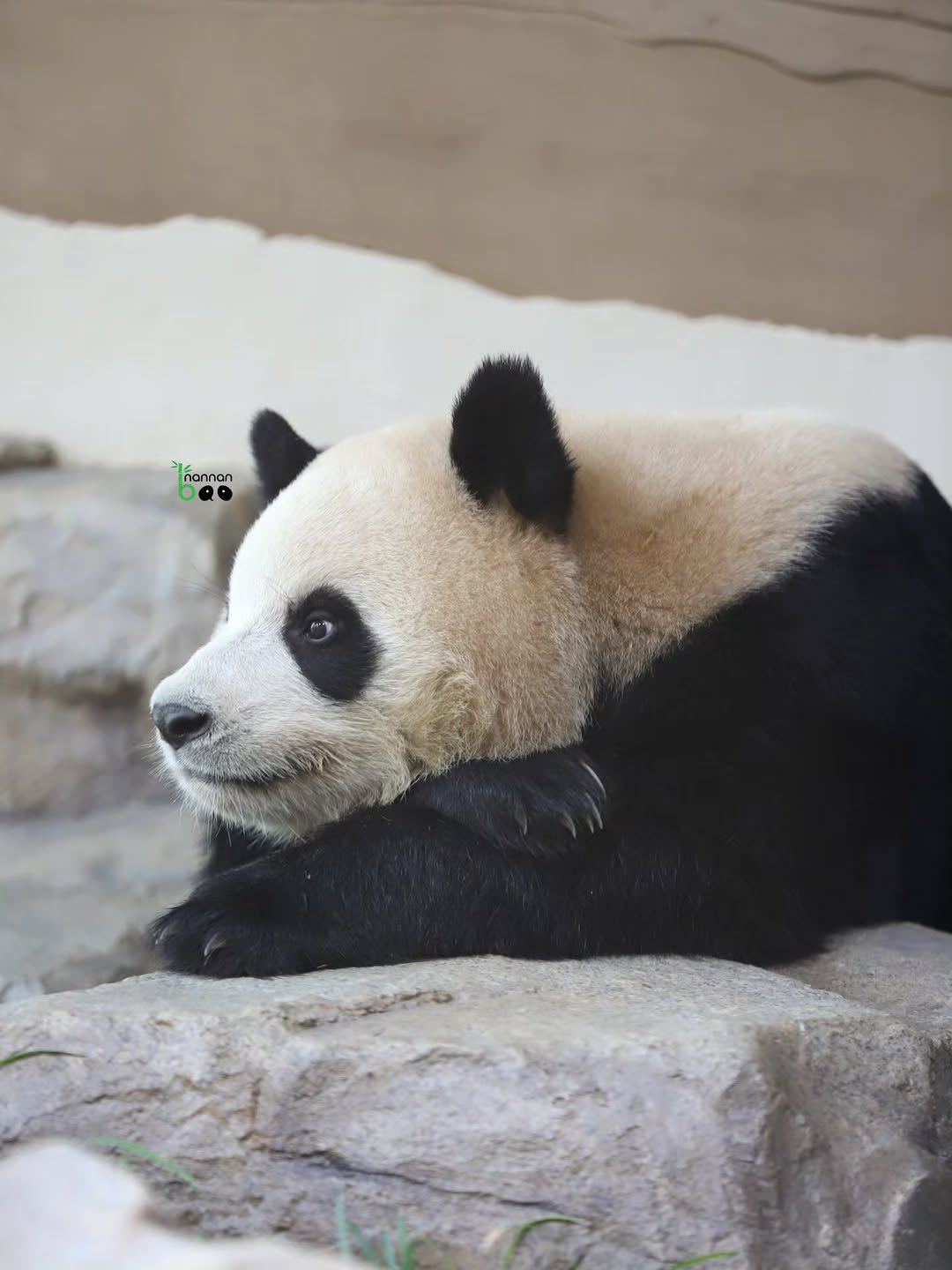 Soft boiz Góc nào cũng là góc thần... - Rui Hui đáng yêu | Facebook