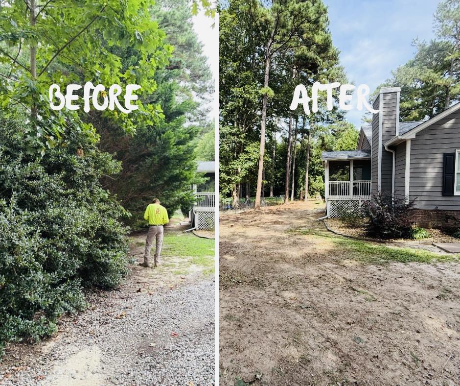 Triple R Tree Division & Site Services