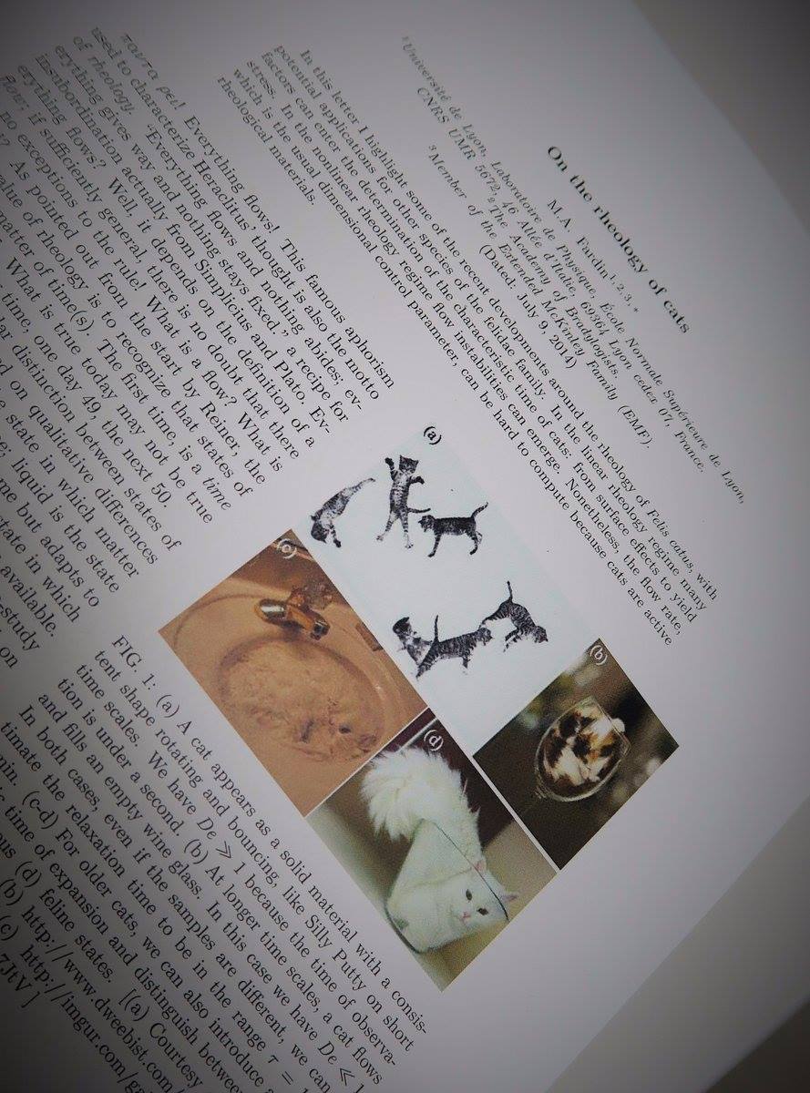 Alfフランス語学校 猫は液体 イグノーベル賞 イグノーベル賞 という賞をご存知でしょうか 1991年にノーベル賞のパロディーとしてアメリカの科学雑誌が始めた 他の誰もやりそうにない ユーモアと独自性を兼ね備えた研究や開発 に送られるこの賞 まずは
