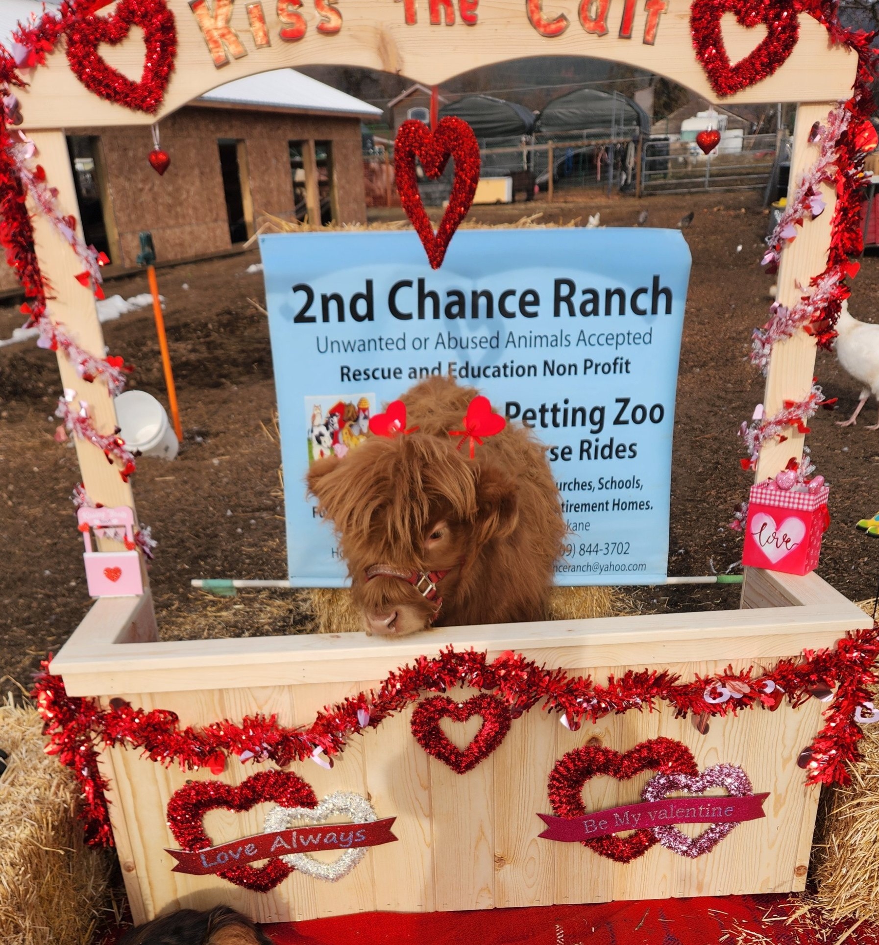 2nd Chance Ranch Spokane Wa Mobile Petting Zoo. Rescue & Education ...