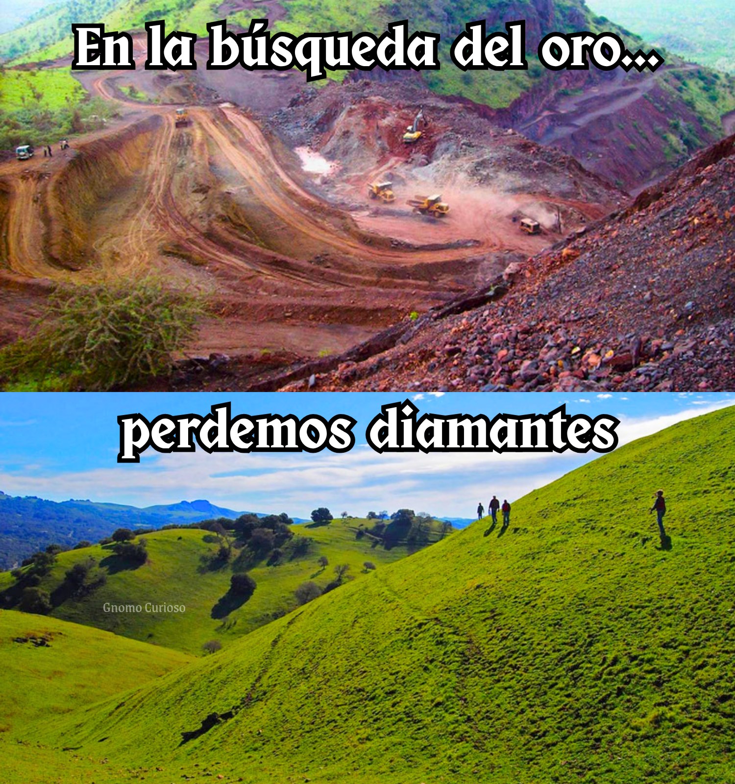 Gnomo Curioso - 💎🌱 | Facebook