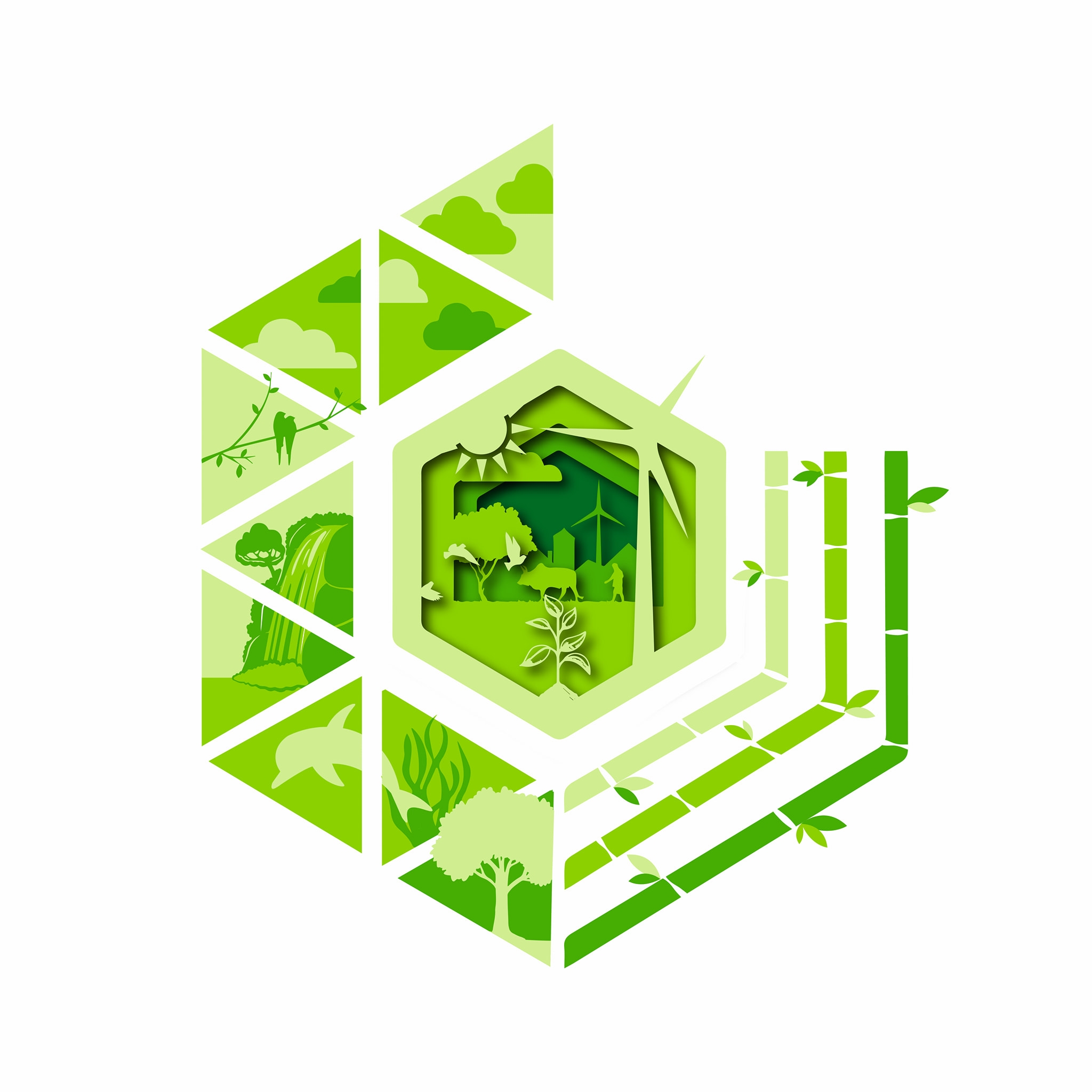 WVSU - DID YOU KNOW? June was declared as the Philippine Environment ...