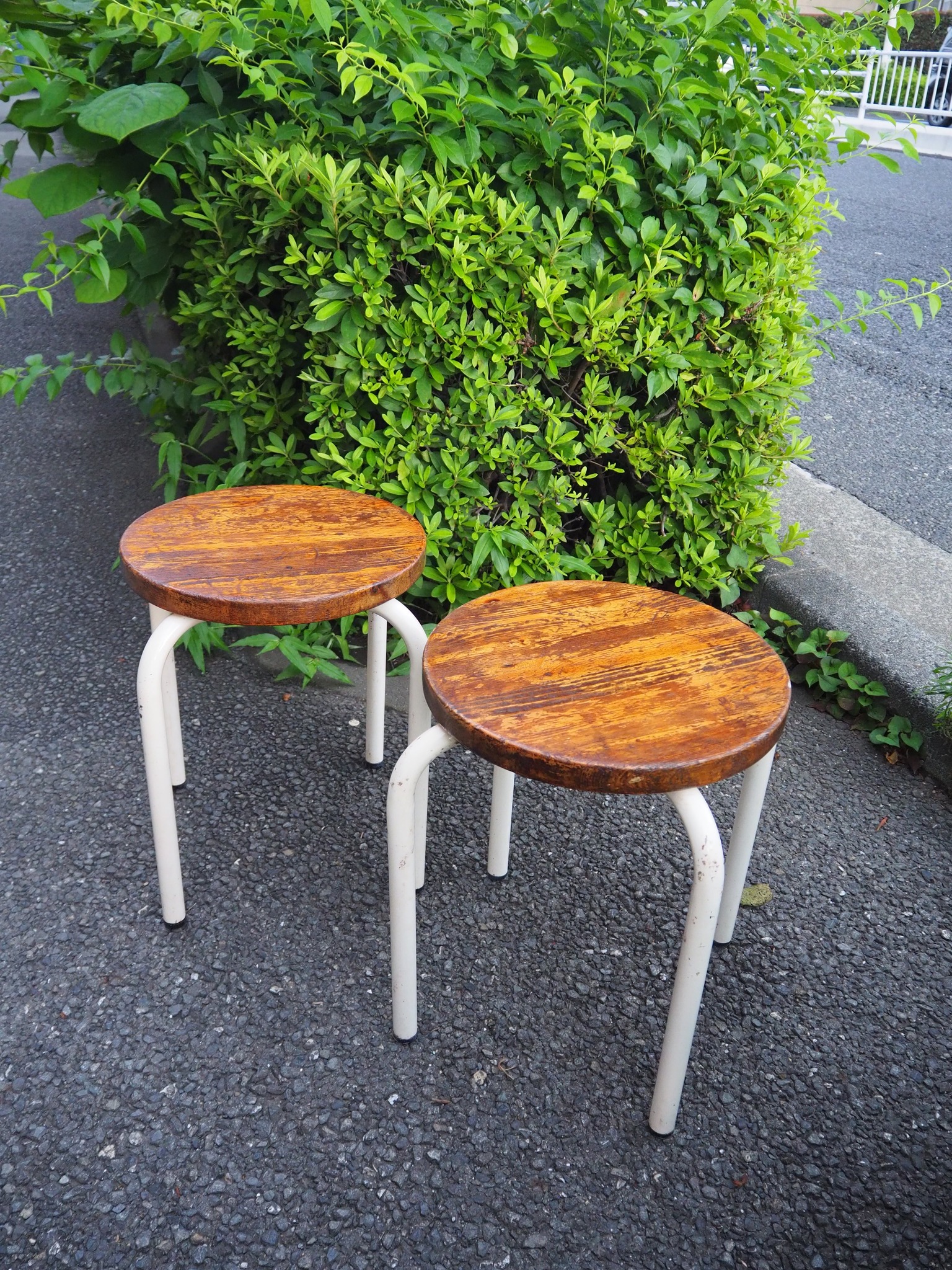 丸椅子のご紹介💺✨】 最近入荷した人気の丸椅子たちをご紹介します