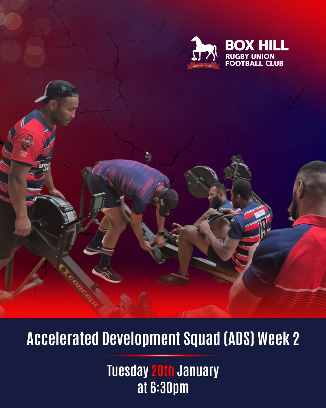Box Hill Rugby Union Football Club | Box Hill VIC