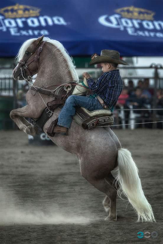 el spirit (MRPF) vs okre... - Mini Rodeo Panchito Flores