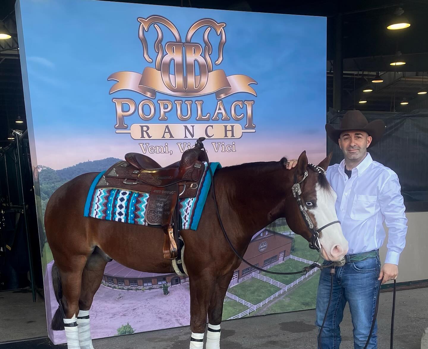 Epis Performance Horses