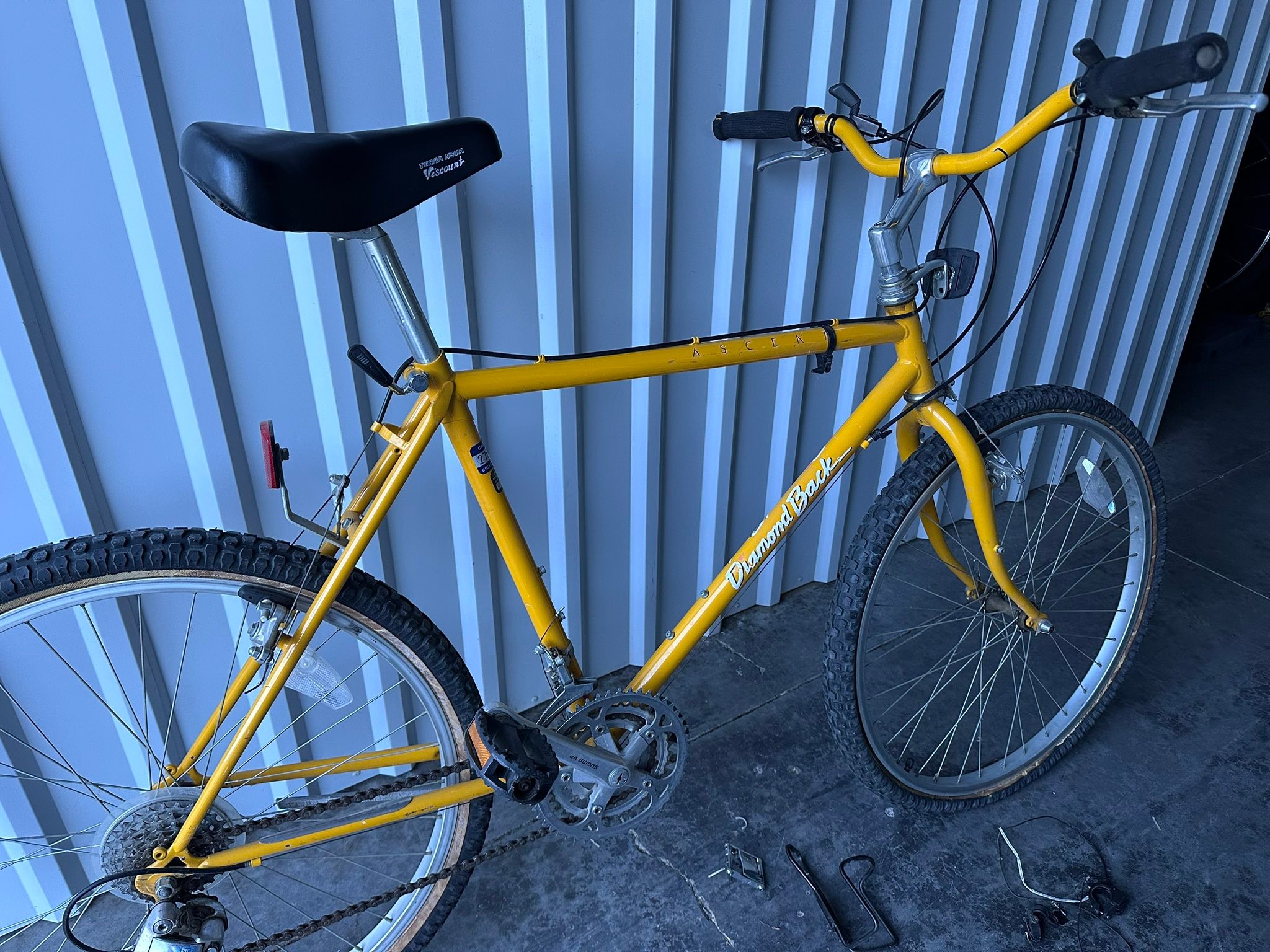 Vintage diamond back ascent bike found
