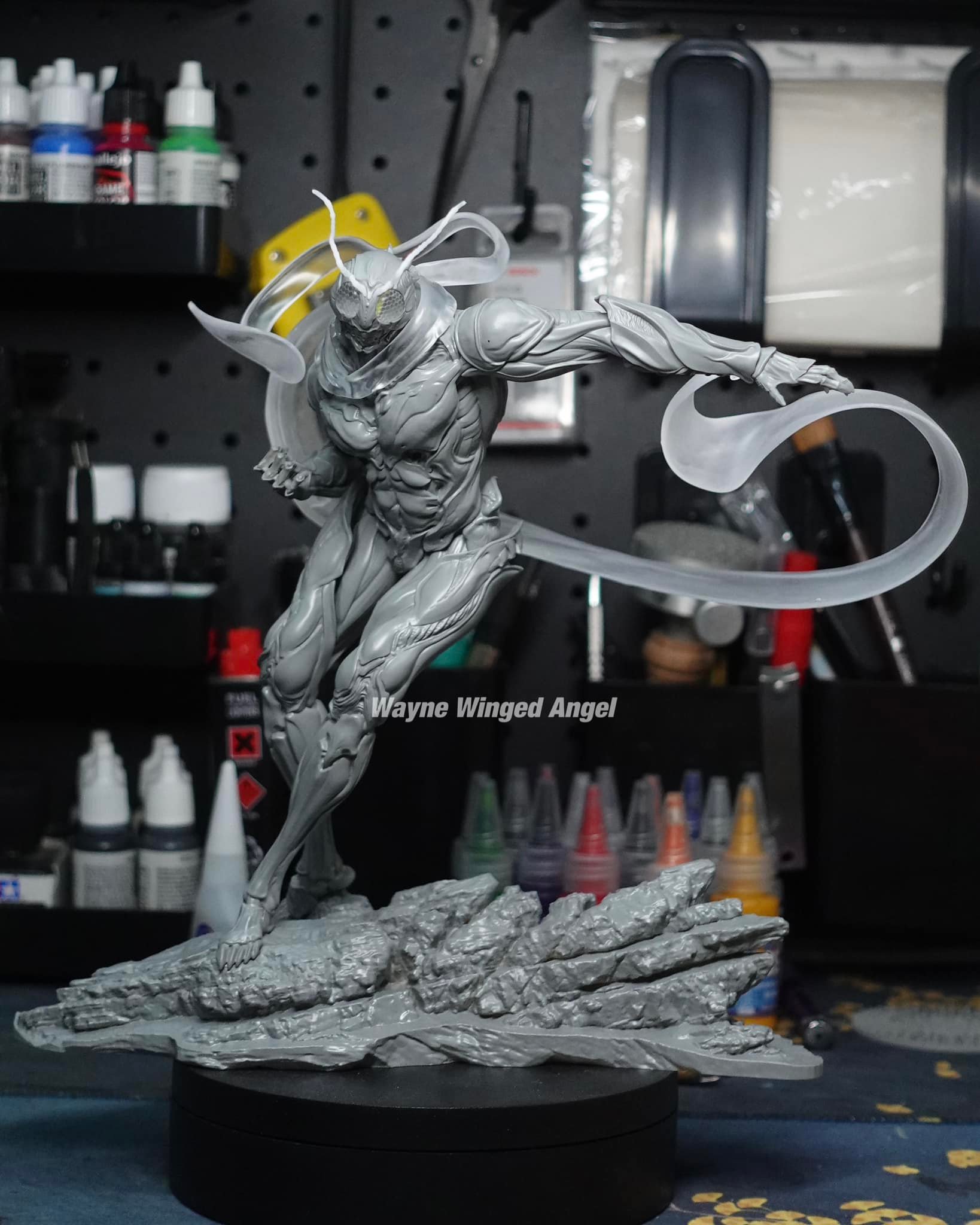 Wayne Industry - This Locust Man (not Kamen Rider 🫣)...