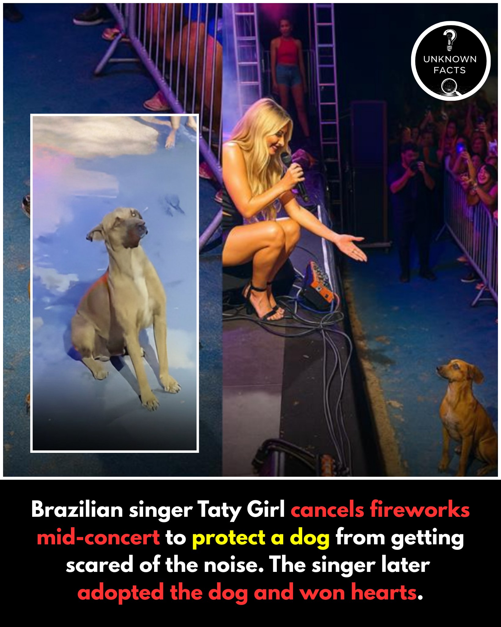 Photo inspiration: Gallery Detail: Unknown Animal Experts And Lovers Have Long Warned About The