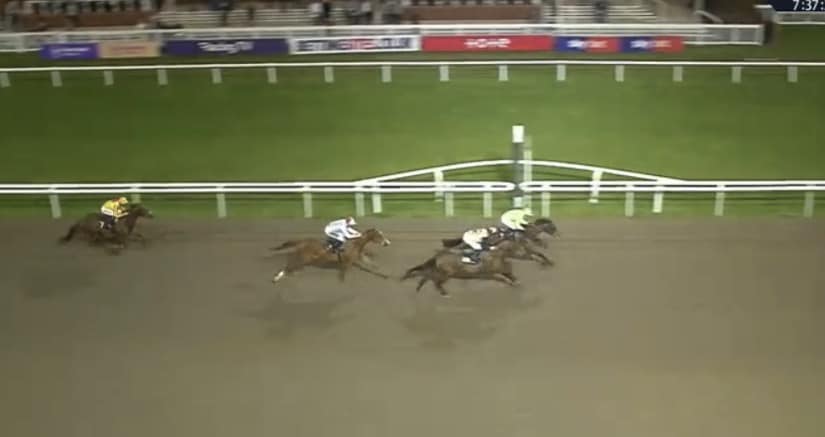 Whatcombe Racing - Paul and Oliver Cole - Mercenary Rose (by Sepoy ex ...