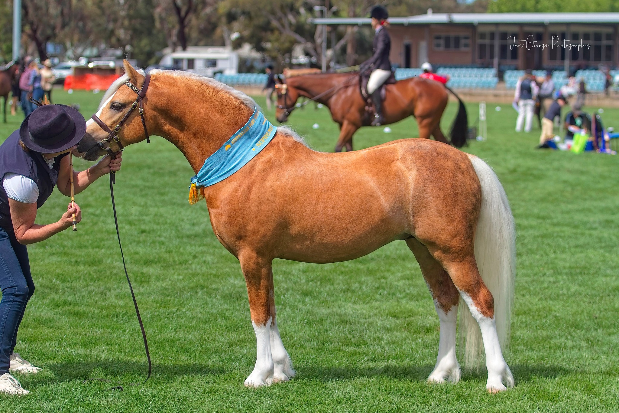 RIVINGTON STUD