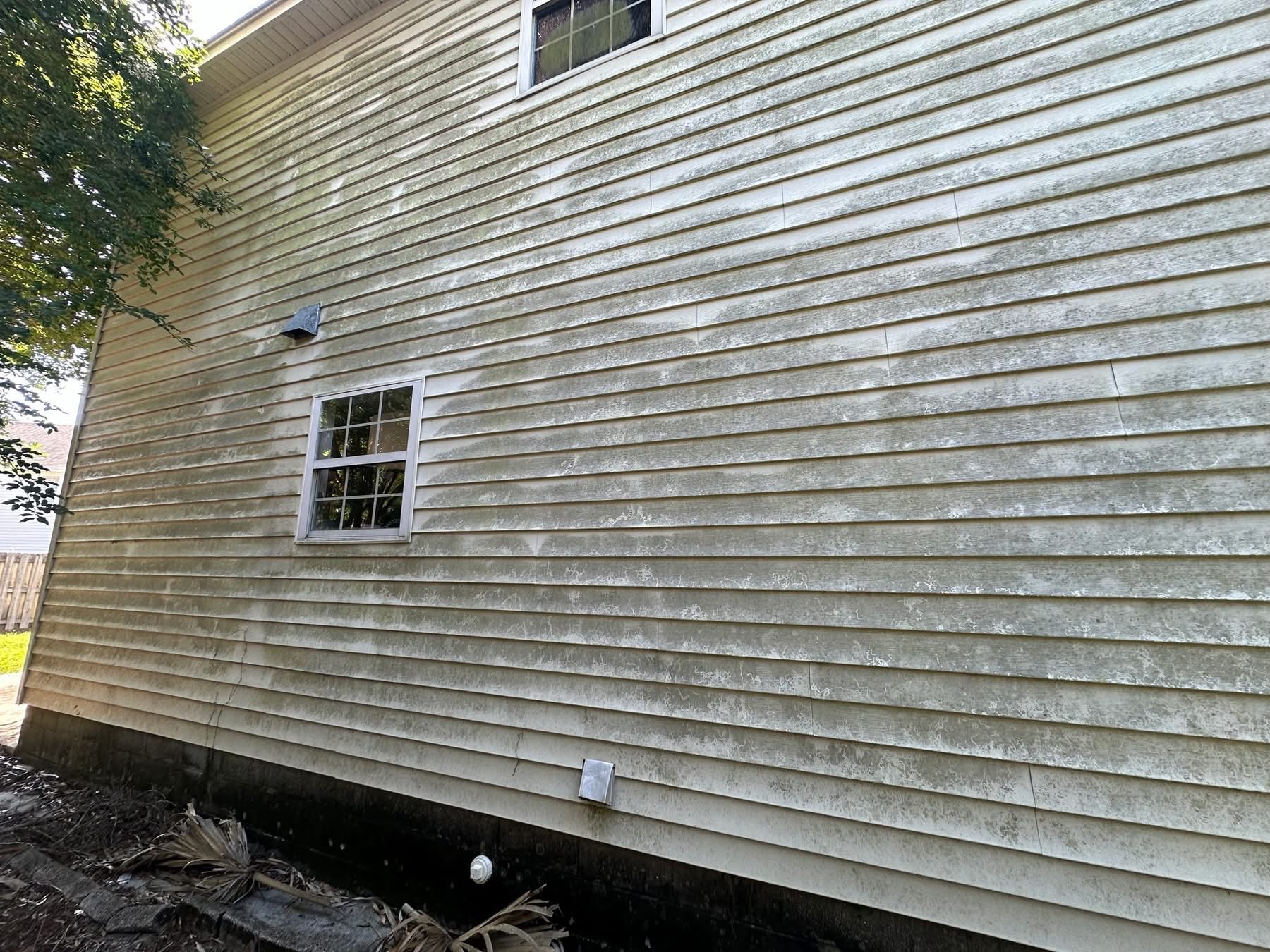 Reed Pressure Washing